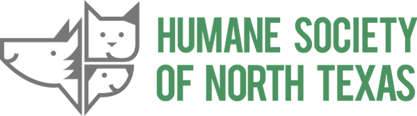 HSNT-Horizontal_GreenGray_RGB (2).png