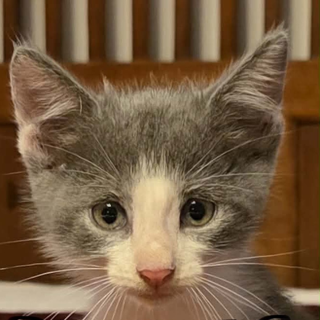 Oliver Winston III