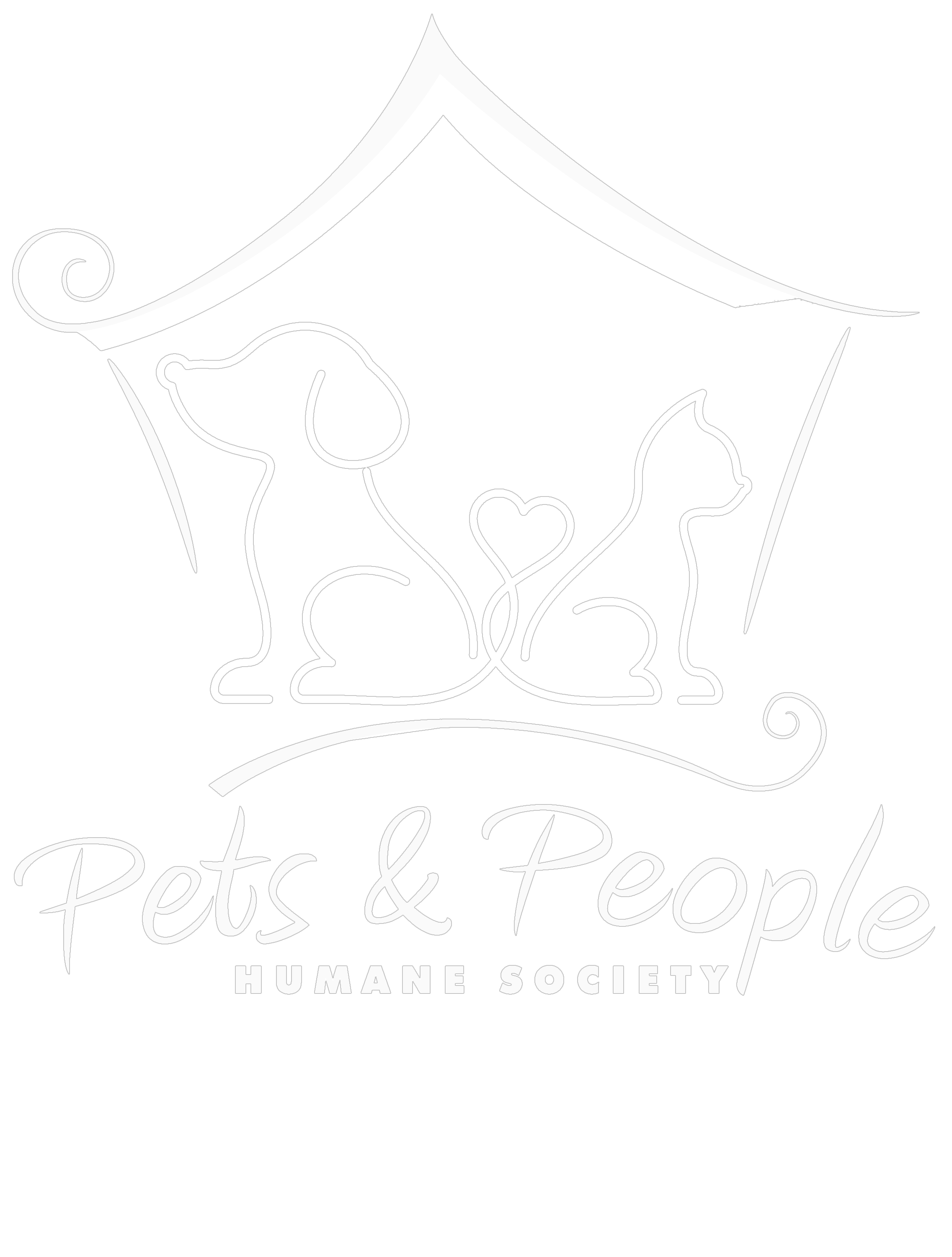 #2 scripty_edited_edited_edited.png