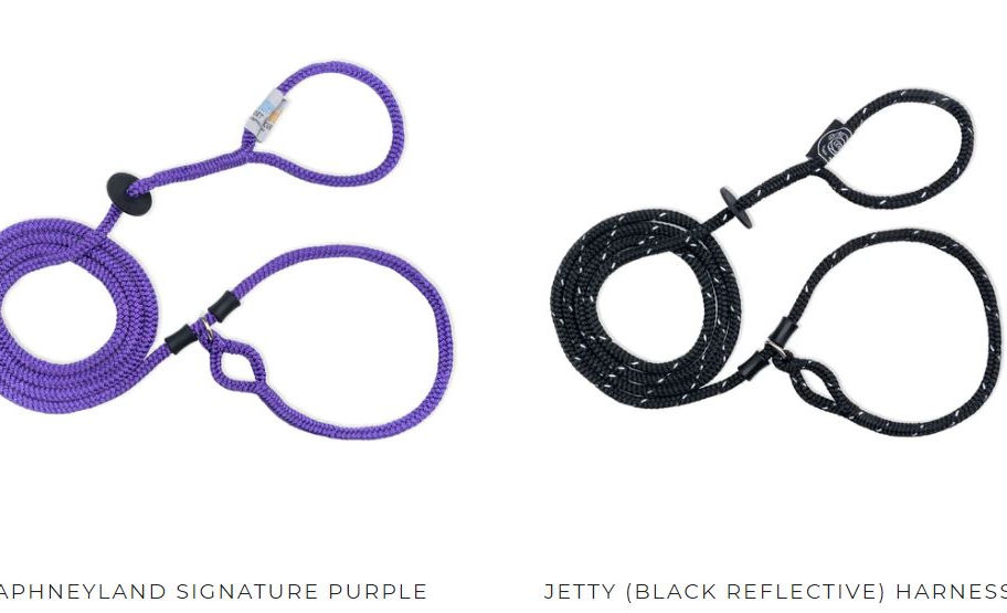 Purple and black dog leashes