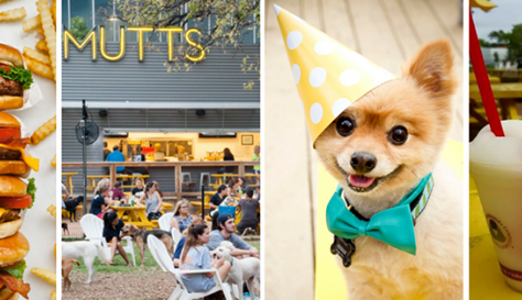 Top 10 Restaurant Patios to take your Dog in Dallas/Fort Worth