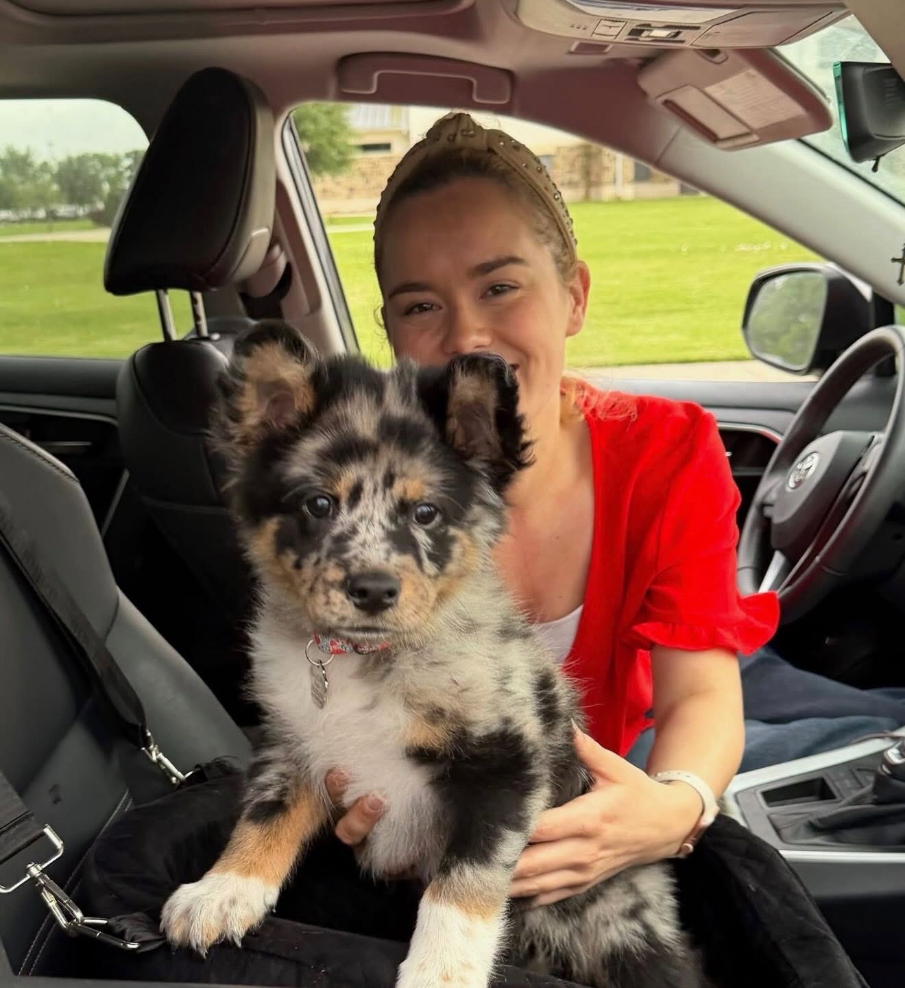 Helping Your Rescue Dog Settle Into a Routine After Adoption