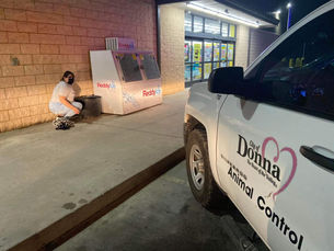 Puppies Found Abandoned in a Bucket Outside a Dollar General