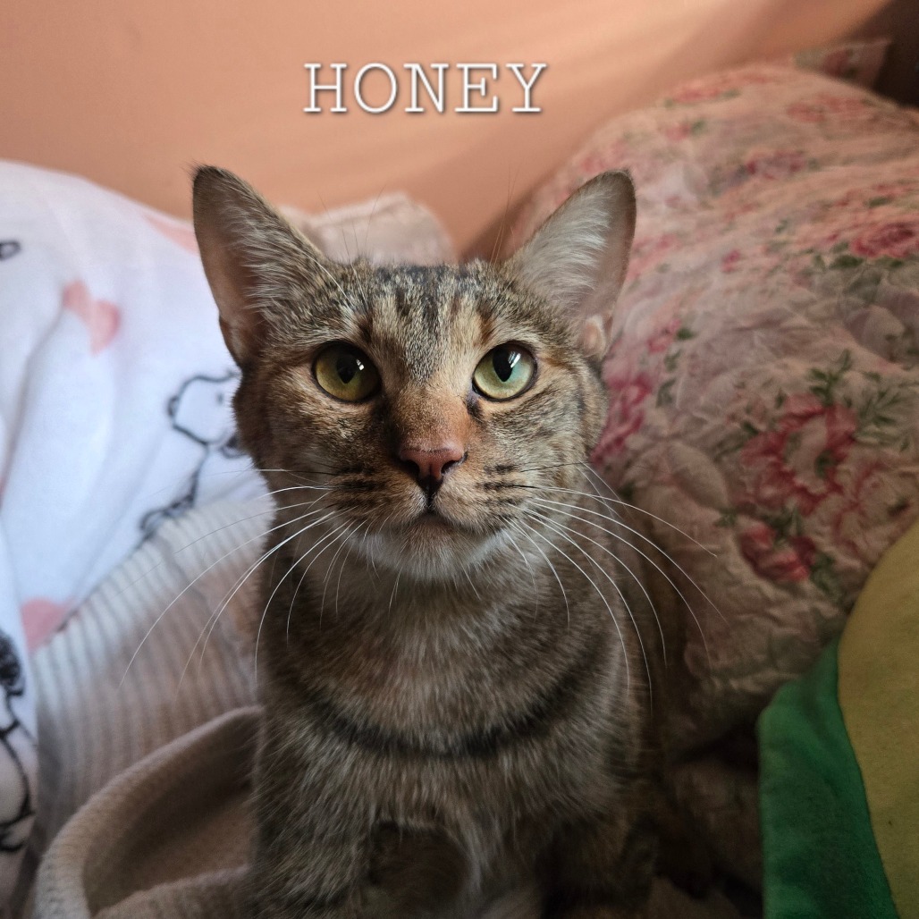 Honey (Isabella S)