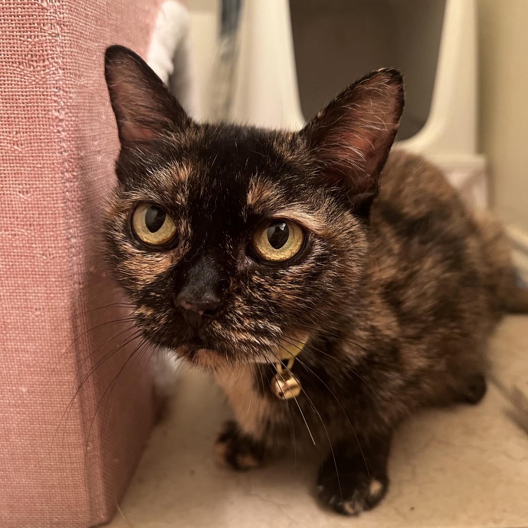Lilly(Michelle E)