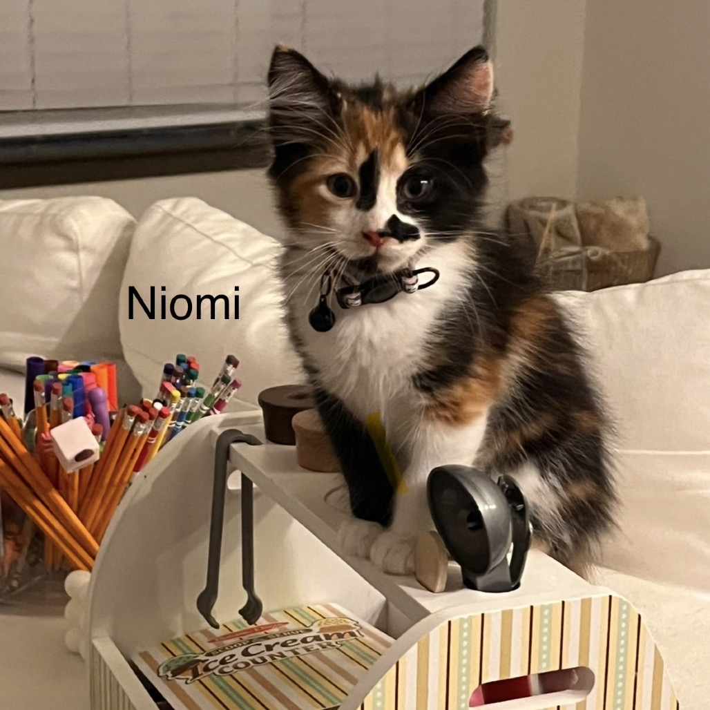 Niomi