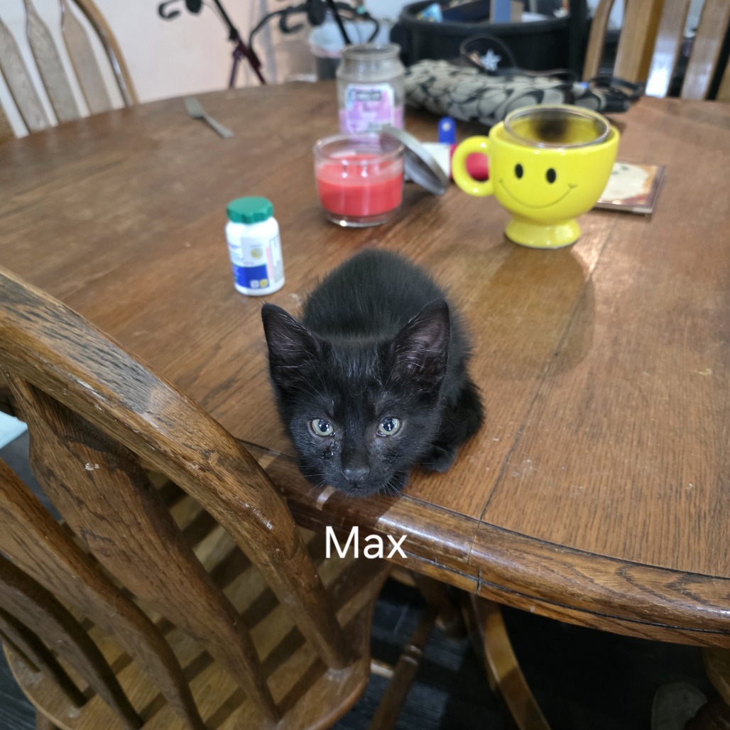 Max