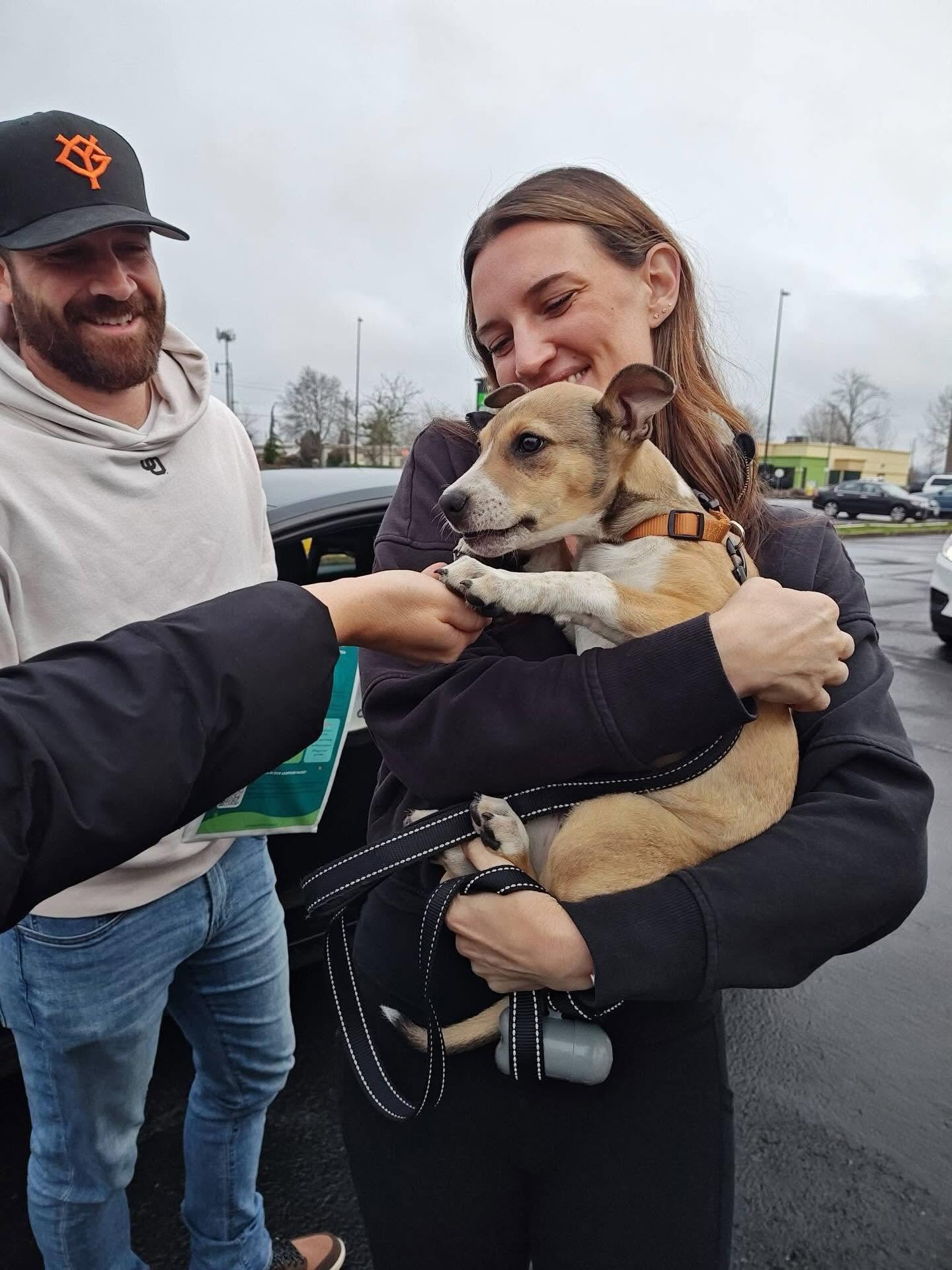 Helping Your Rescue Dog Settle Into a Routine After Adoption