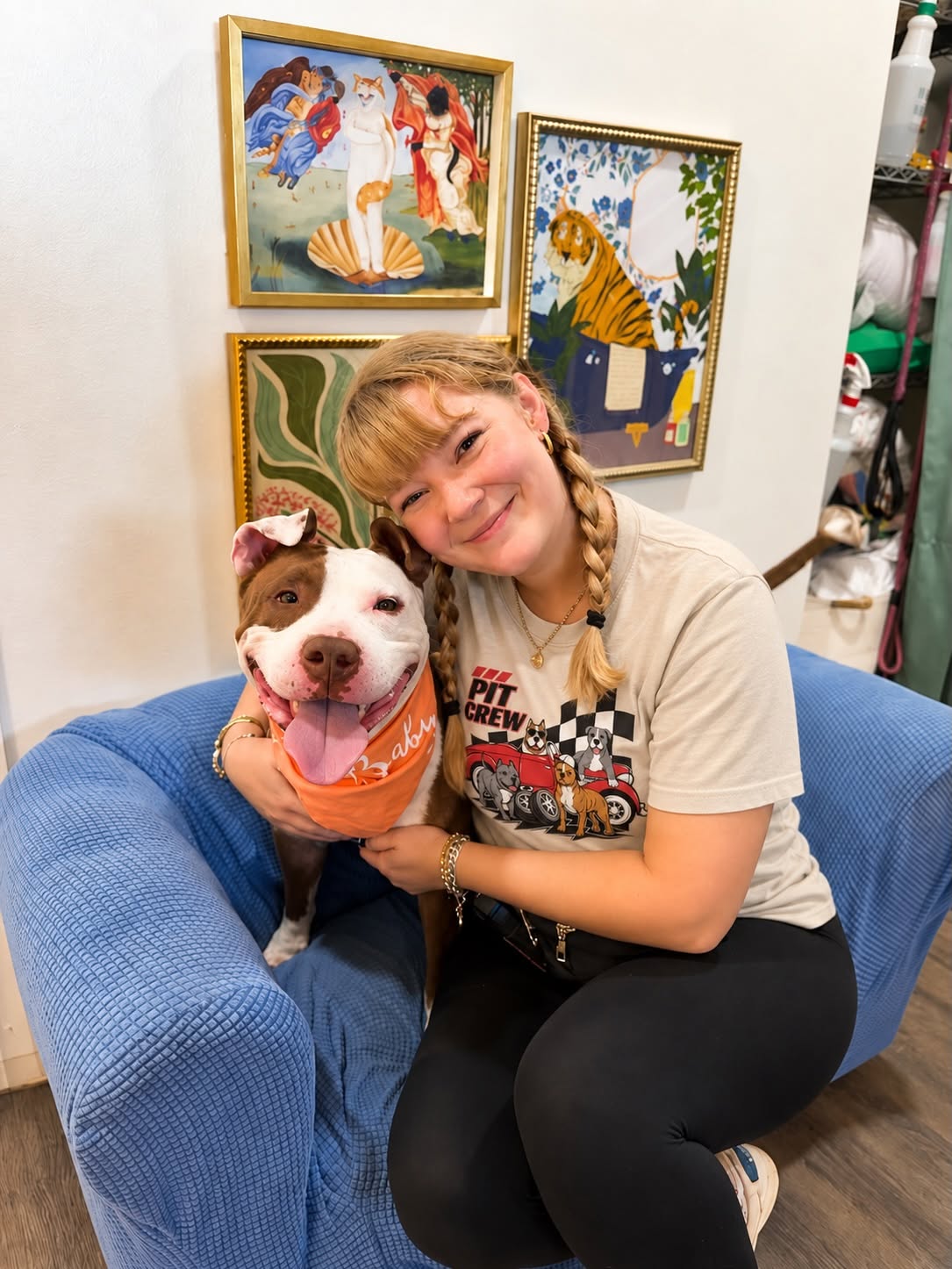 Helping Your Rescue Dog Settle Into a Routine After Adoption