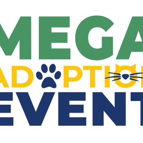 HSNT's Mega Adoption Event at Globe Life Field: Find Your Best Friend