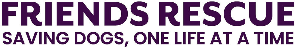 New Cody's Logo_edited_edited_edited_edited.jpg