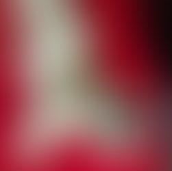 Foster Puppies - It's Easy!