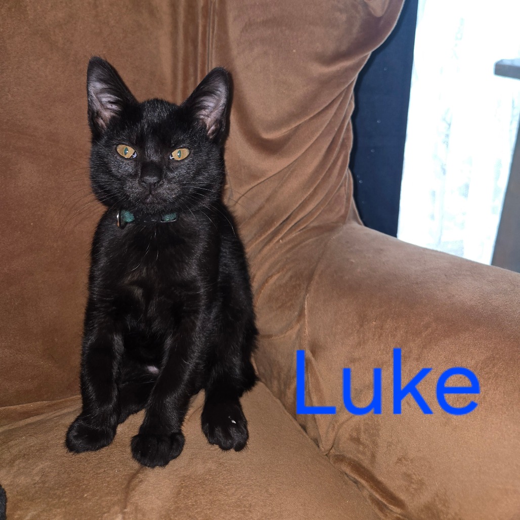 Luke
