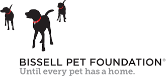 Dfw Humane Society