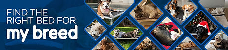 find-the-right-bed-for-my-breed.jpeg