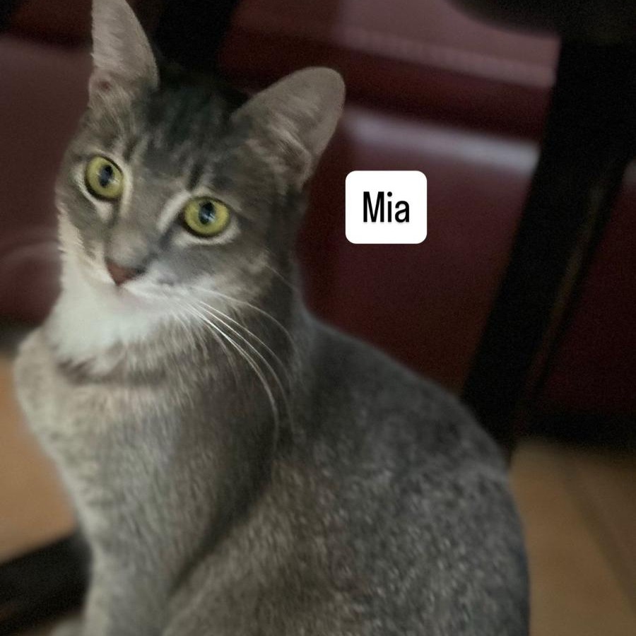 Mia