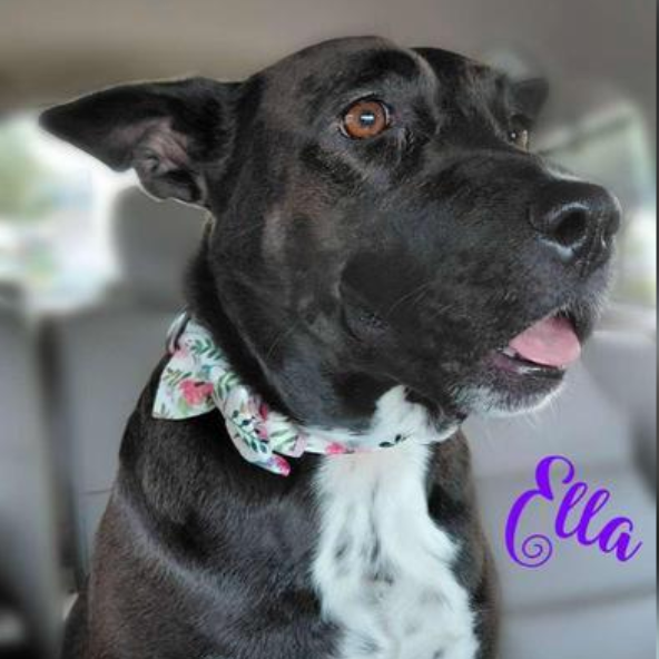 Ella