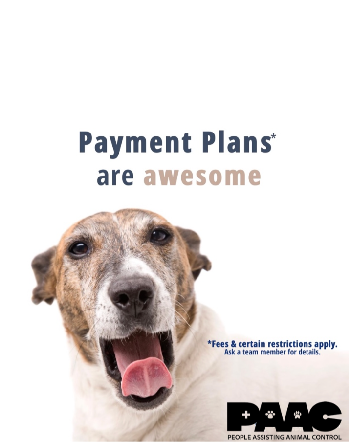Flexible Payment Plans