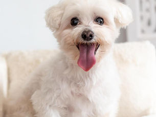 Oh Mickey You're So Fine!