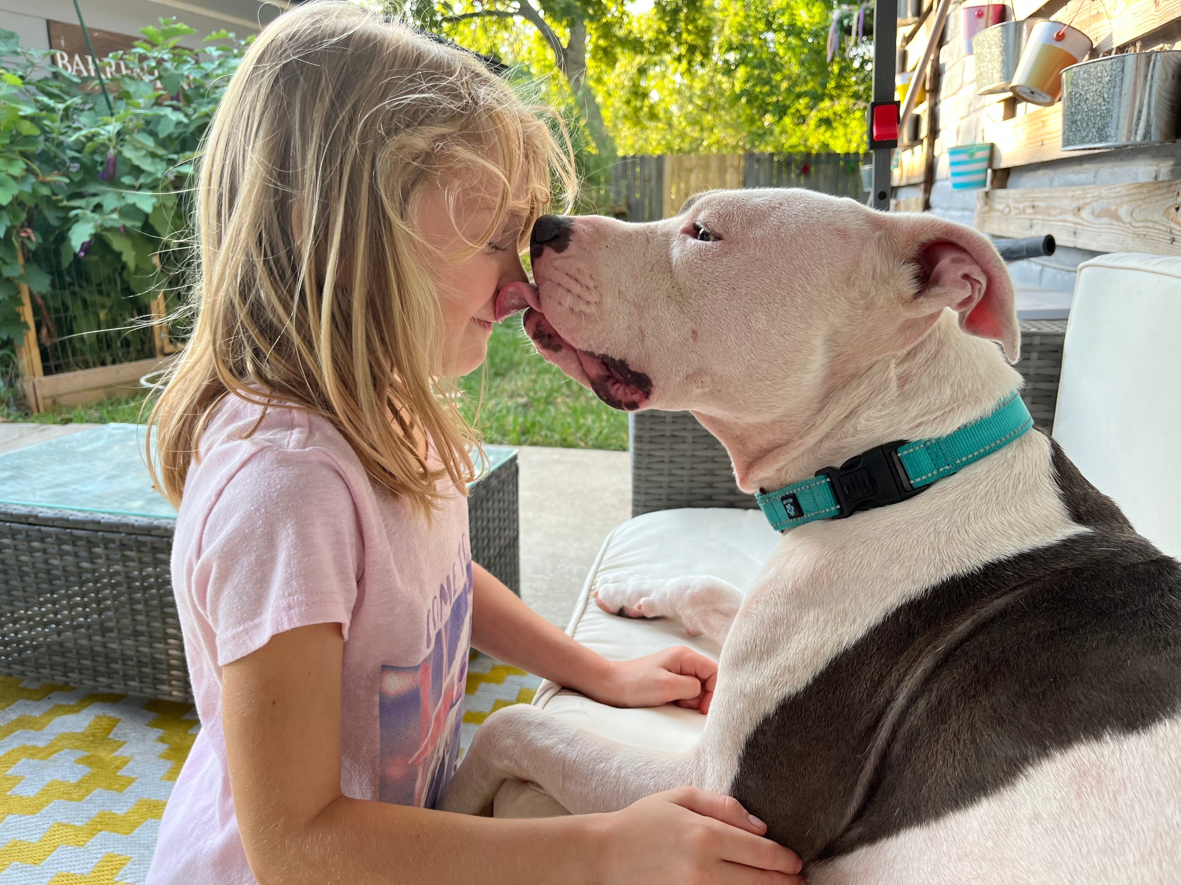 A child sharing a loving moment with a rescued dog in a foster home