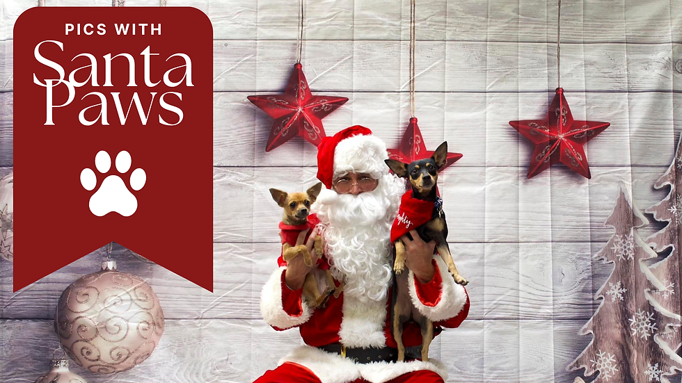 Pics with Santa Paws