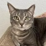 Mimi