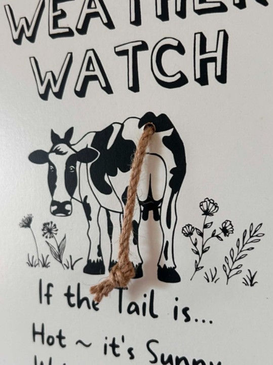 Thumbnail: Cow Weather Watch Plaque 