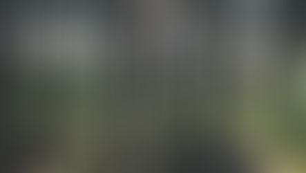 Model Pruning in Deep Neural Networks Using the Tensorflow API
