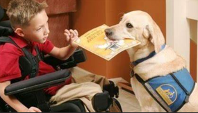 April 2024 Blog | Service & Therapy Animals