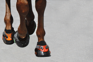 Botas-para-caballos-floatingboots-300x200