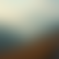 Korzyści z holistycznej diety