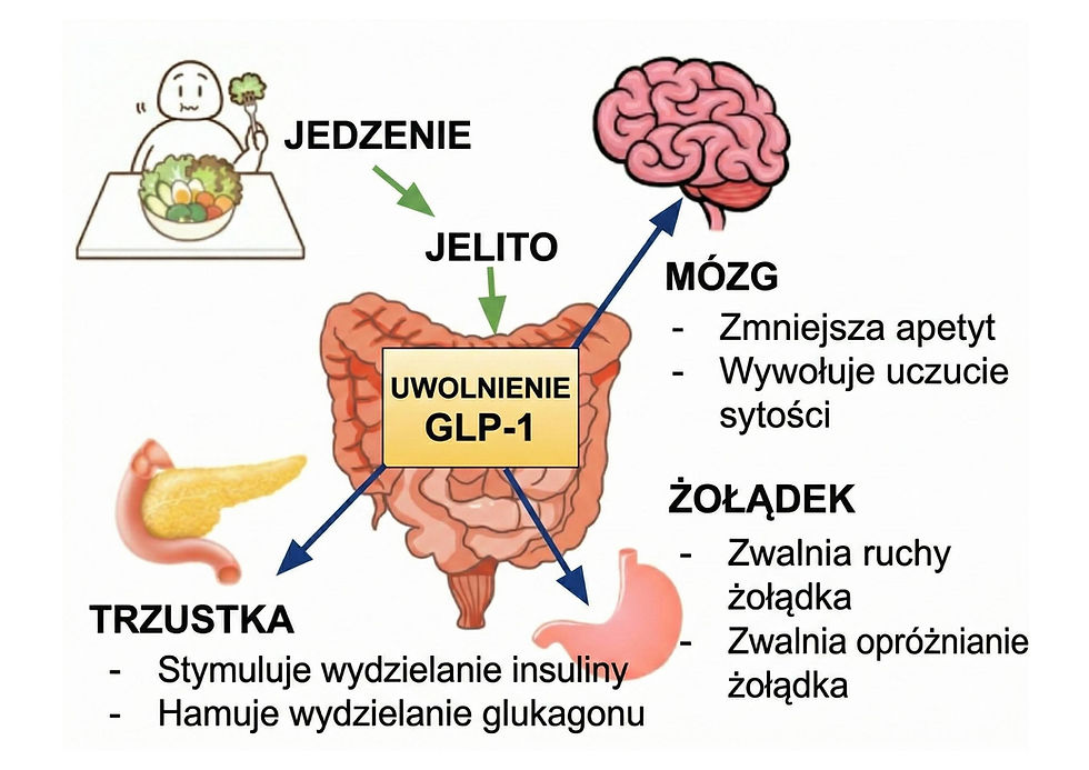 GLP-1 to Naturalny klucz do kontroli cukru i masy ciała