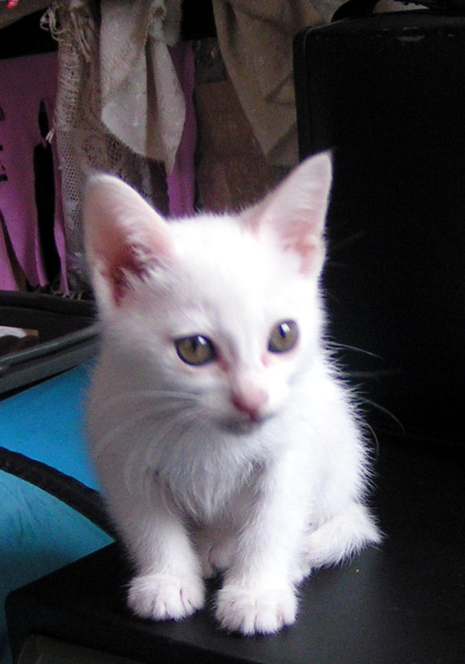 PICT0022.JPG