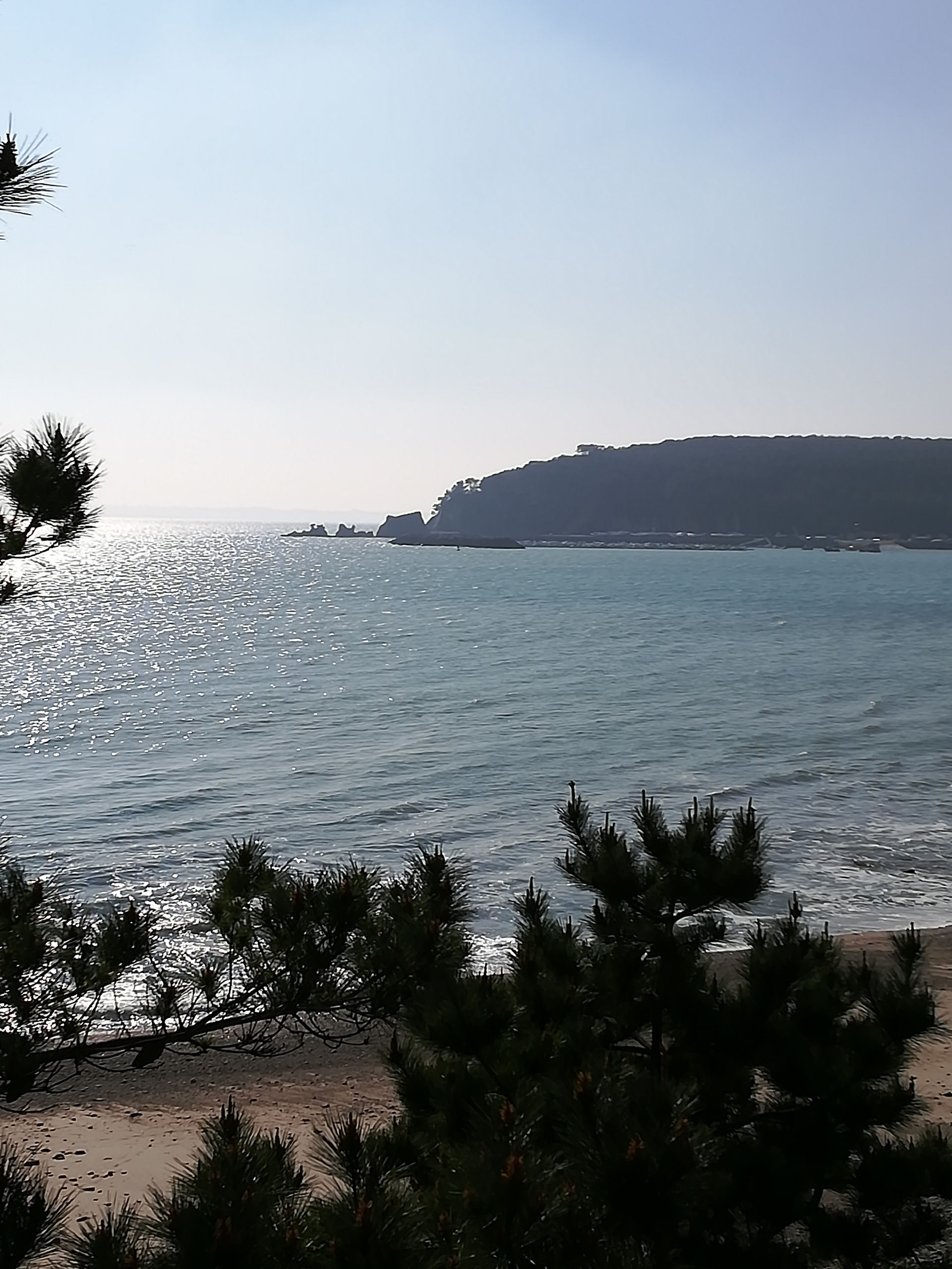 Morgat, son port, les rochers et le