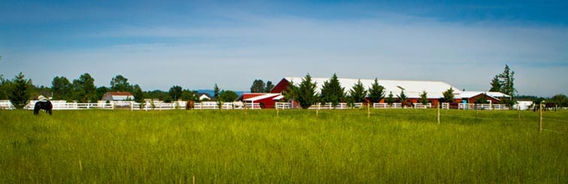 FH-panorama-(3) (1).jpg