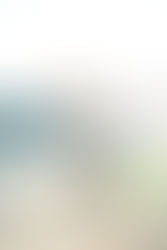 FEATURE FRIDAY: Baylor Club