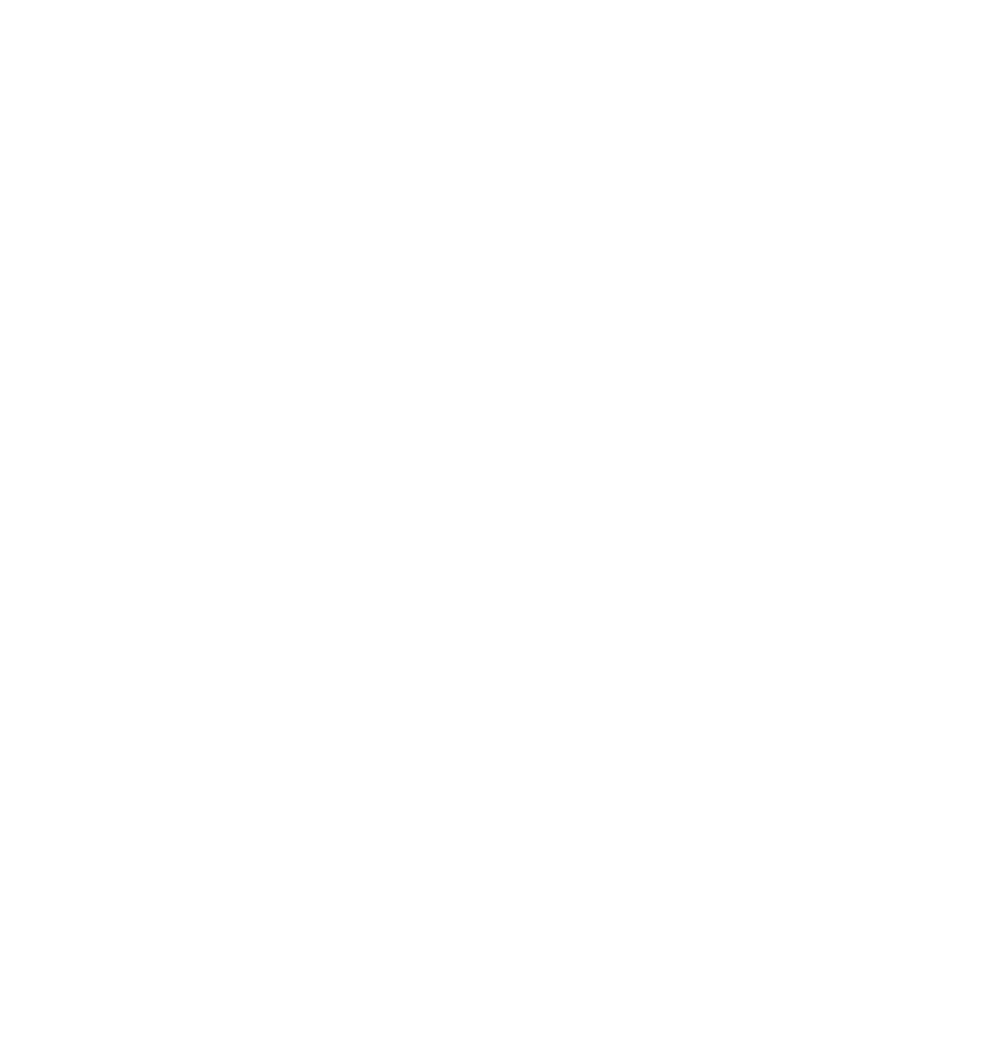 WEBSITE ICON.png