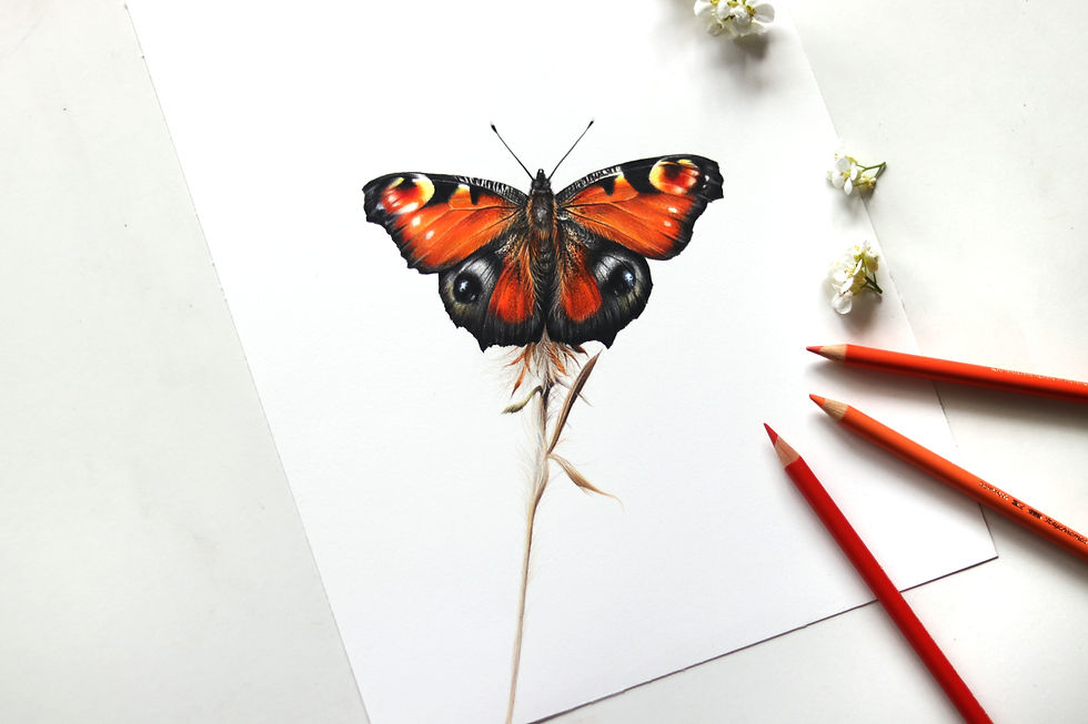 Thumbnail: Butterfly