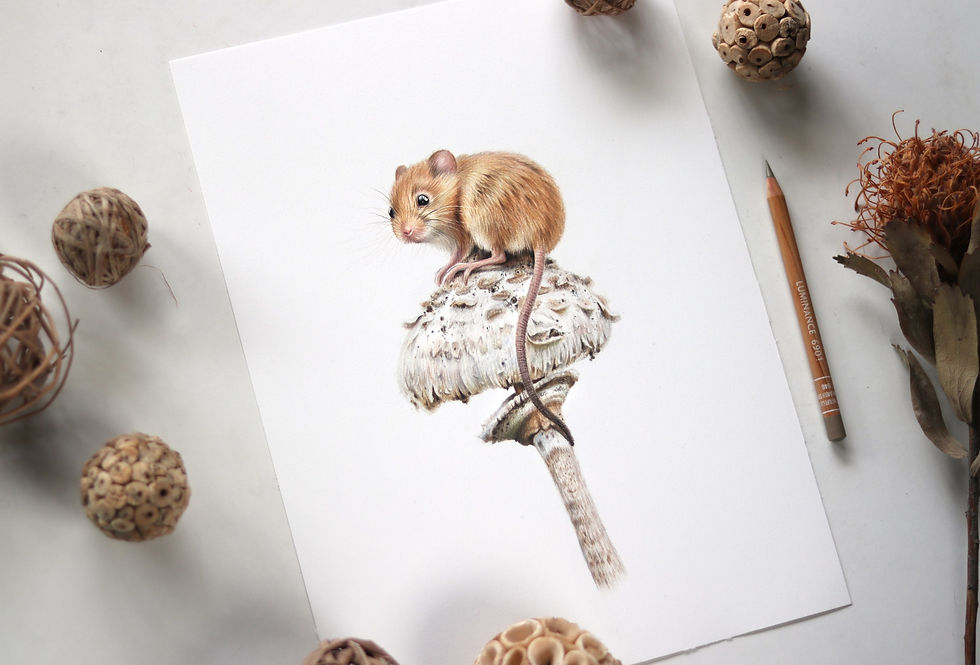 Thumbnail: Field Mouse Henry