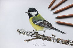 Farbstift A4
