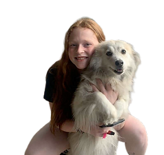 Playful Pets Columbus Team Sofia