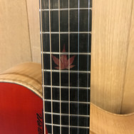 IMG_7931.jpeg