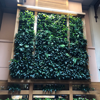 Dining Vertical Garden