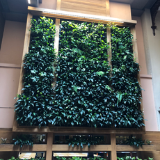 dining-vertical-garden