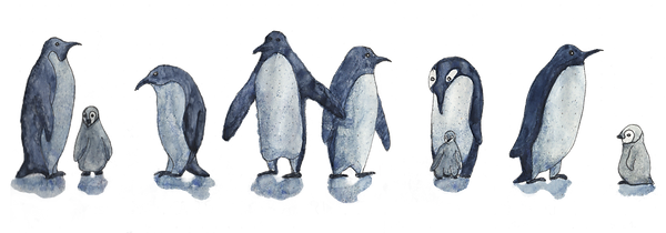 Pingouins