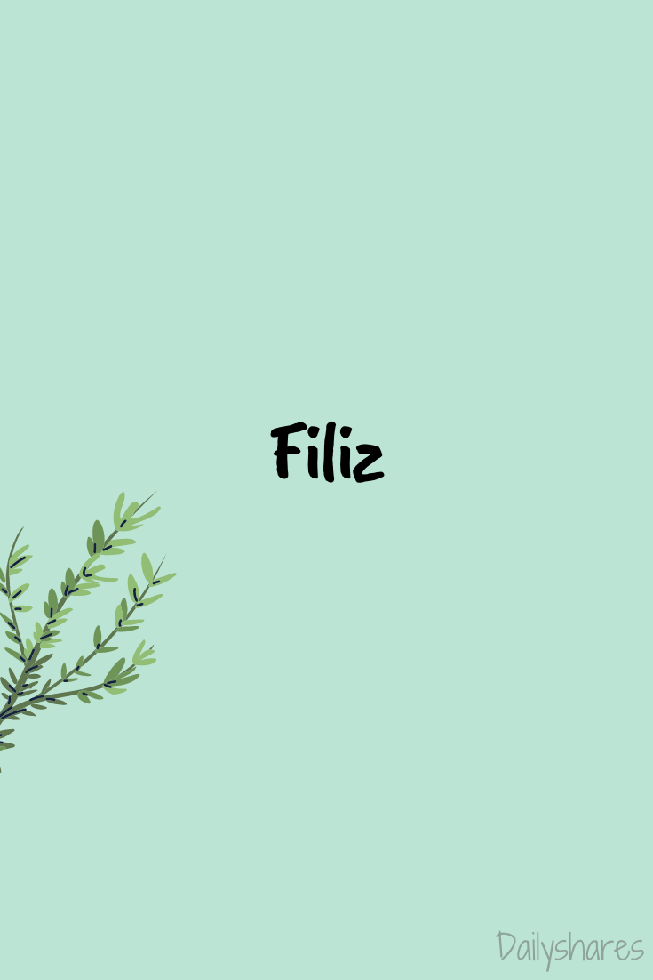 filiz İsimli Duvar Kağıdı