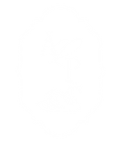 SwanLogo Vertical WHITE.PNG