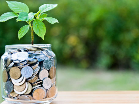 What is Microfinance in the Green Sector?