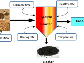 What are the disadvantages of biochar?