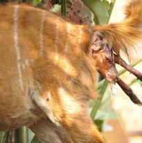 WhatsApp Image 2021-11-10 at 21.57.30 (1).jpeg